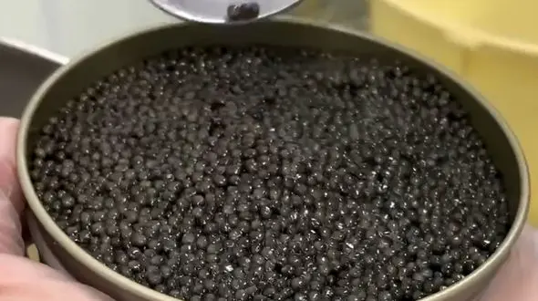 از رانندگی و ترافیک تا تهیه خاویار از دریای خزر 