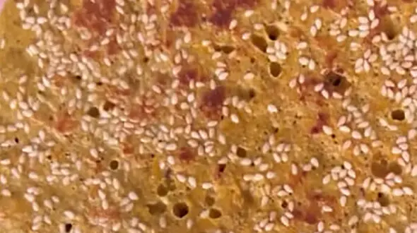 ⁨نان بدون آرد، روغن و شکر درست کنید / فیلم