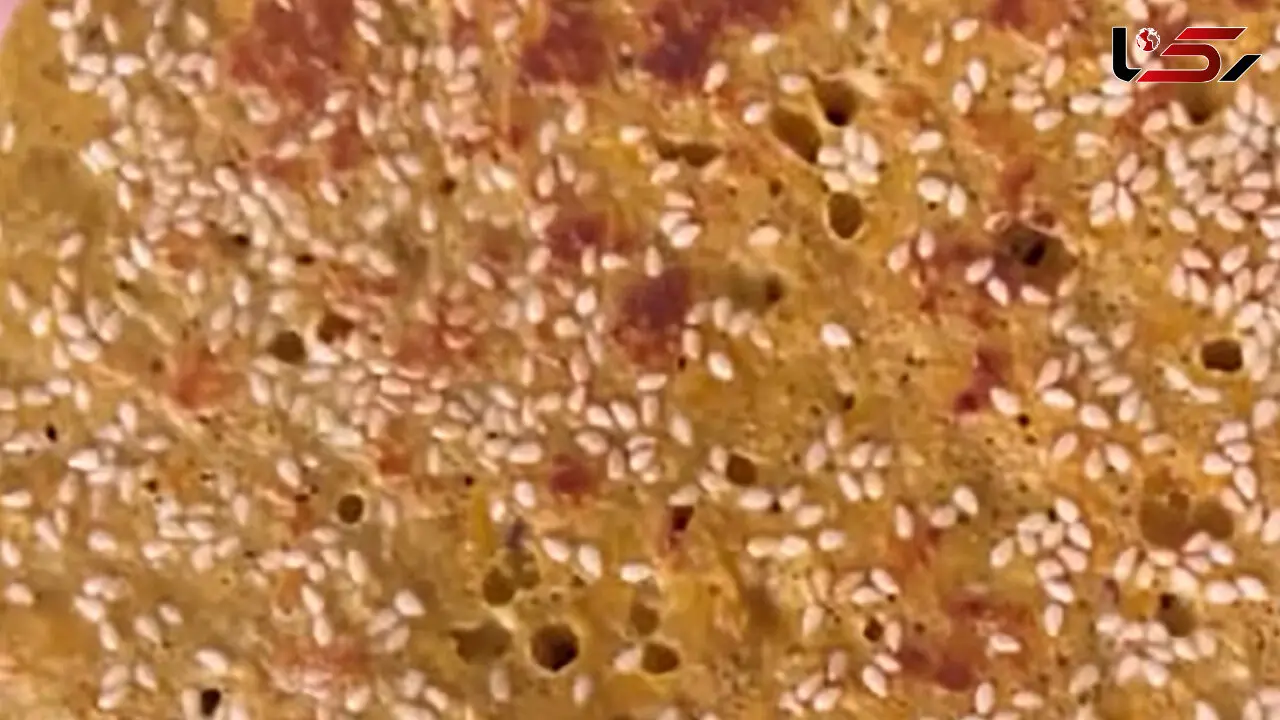 ⁨نان بدون آرد، روغن و شکر درست کنید / فیلم