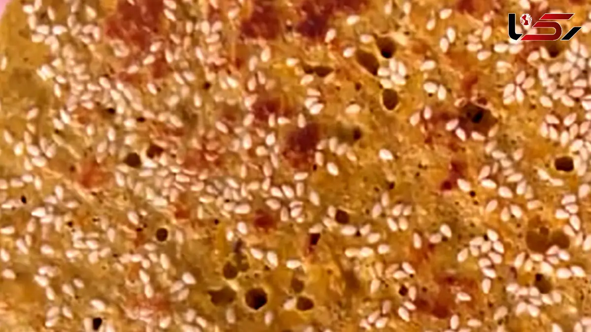 ⁨نان بدون آرد، روغن و شکر درست کنید / فیلم