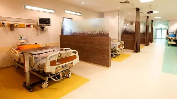 بهترین الگو برای نظام سلامت ایران چیست؟ / راهکار برقراری عدالت اجتماعی در پرداخت هزینه های درمان 