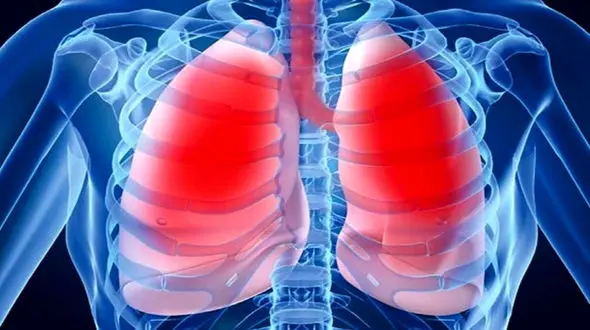 نقش تخم مرغ در تقویت شش ها در ایام کرونا 