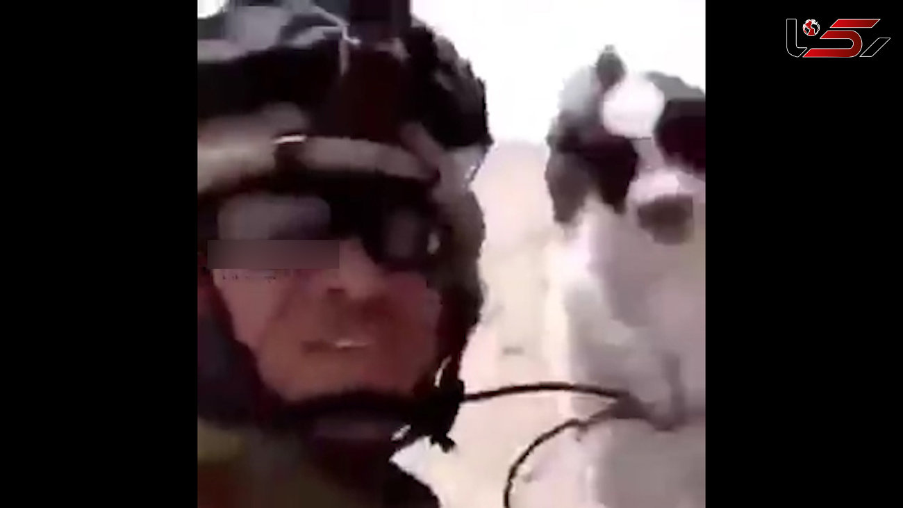 فیلم / اقدام وحشیانه 2 سرباز امریکایی با توله یک سگ