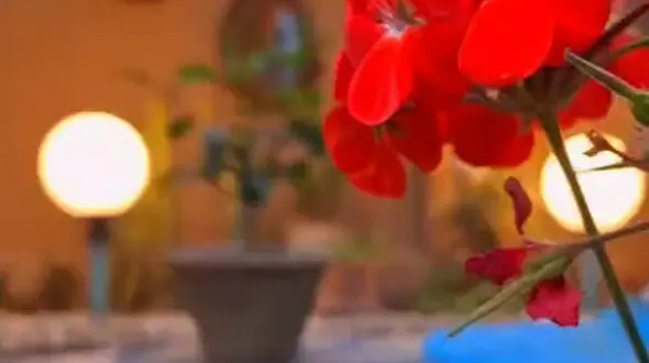 برای داشتن آرامش، قلبت را به خدا بسپر