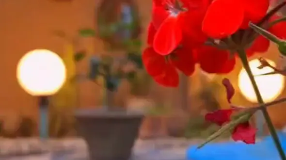 برای داشتن آرامش، قلبت را به خدا بسپر