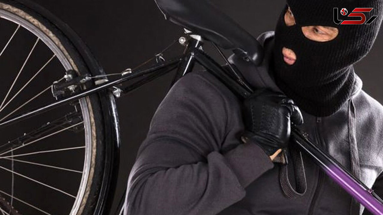 دزدی خاطرات با ربودن سریالی دوچرخه / در مشهد دستگیر شدند