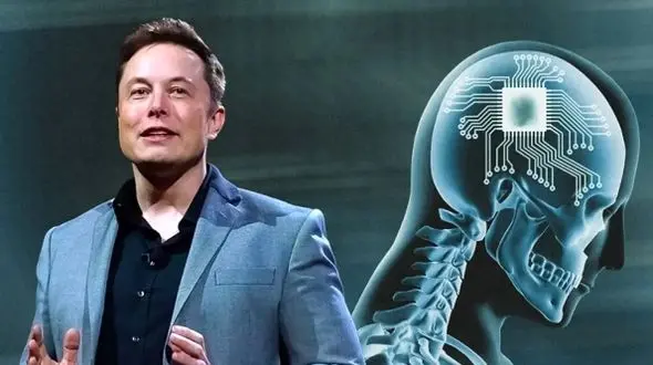 آیا ایلان ماسک تسلا و xAI را ادغام می‌کند؟ پشت پرده شگفت‌انگیز پروژه جدید!