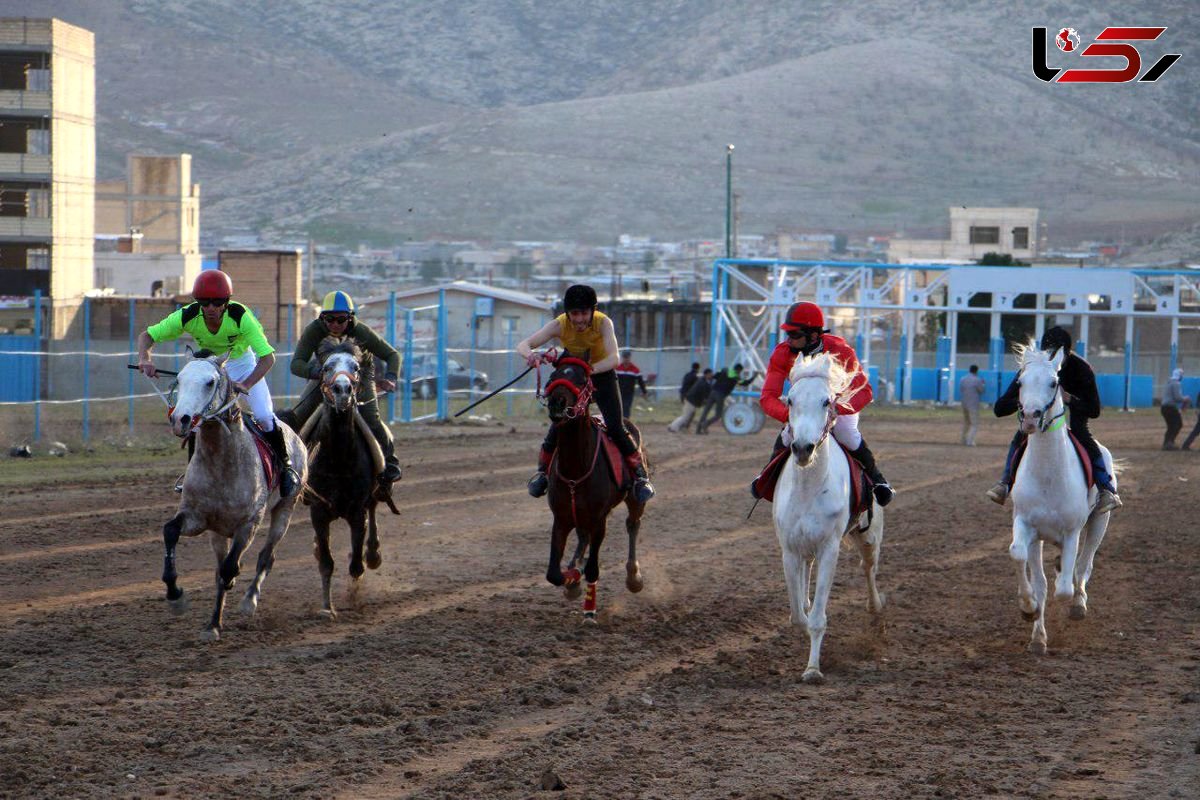 تاخت و تاز سوارکاران لرستانی در کشور