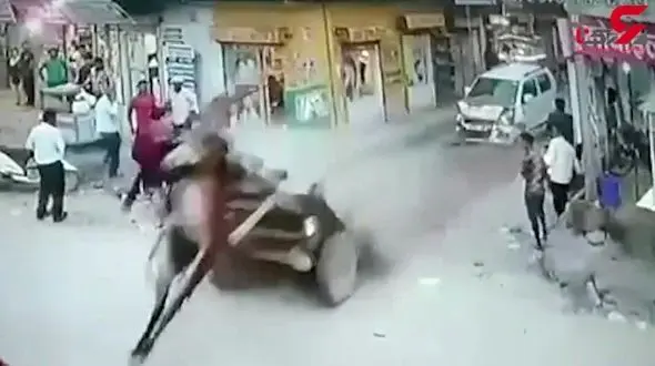 پرواز الاغ در صحنه تصادف وحشتناک + فیلم 