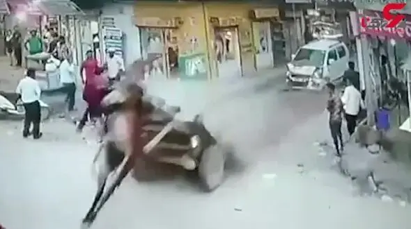 پرواز الاغ در صحنه تصادف وحشتناک + فیلم 