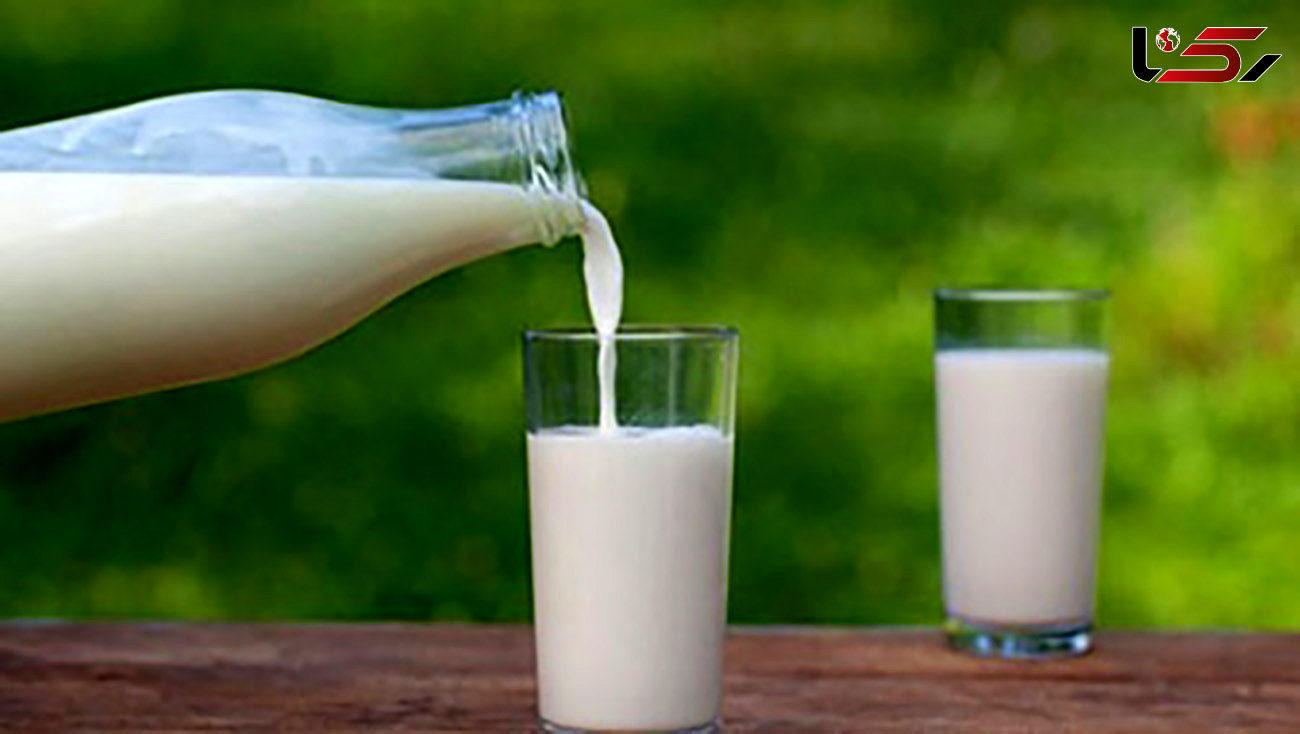 شیر کم چرب را در تغذیه تان قرار دهید