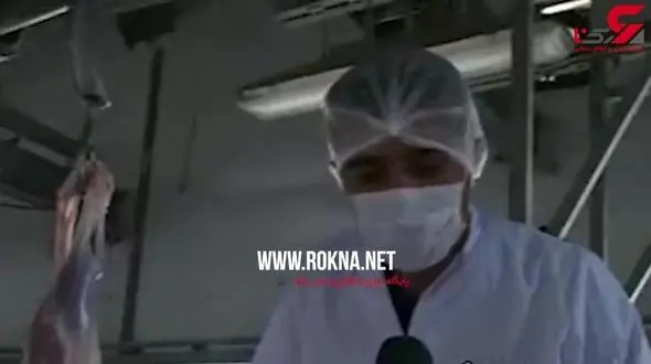 فجیع ترین شایعه درباره گوسفندان دم دراز رومانی در ایران! / سگ چه نقشی دارد؟! 