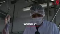 فجیع ترین شایعه درباره گوسفندان دم دراز رومانی در ایران! / سگ چه نقشی دارد؟! 