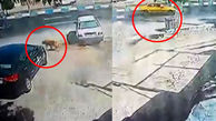 مرگ دانش آموز 14 ساله به خاطر حمله یک سگ در شهریار + عکس