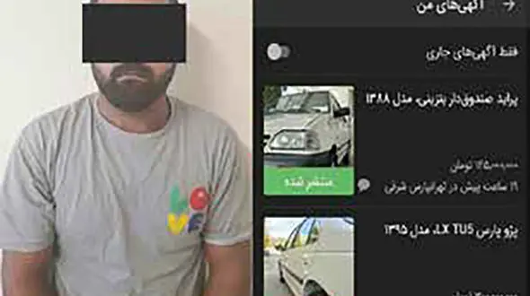 موش «دیوار» در مشهد به تله افتاد + عکس 