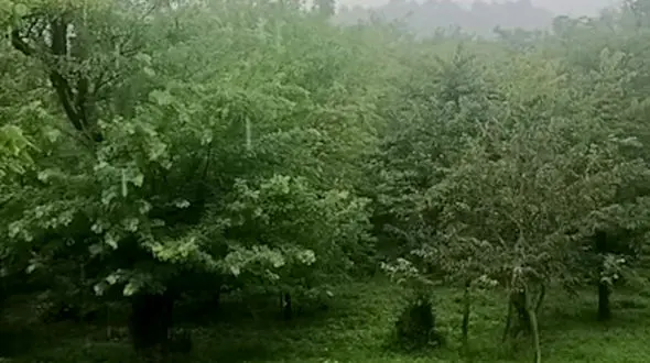 از دریاچه دالامپر تا مازندران سوادکوه 