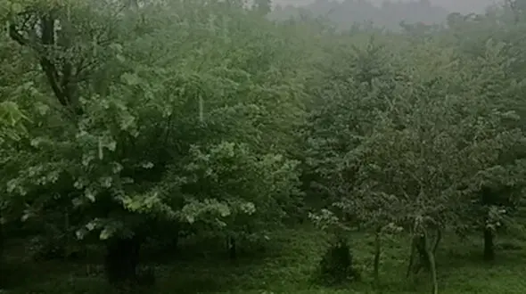 از دریاچه دالامپر تا مازندران سوادکوه 