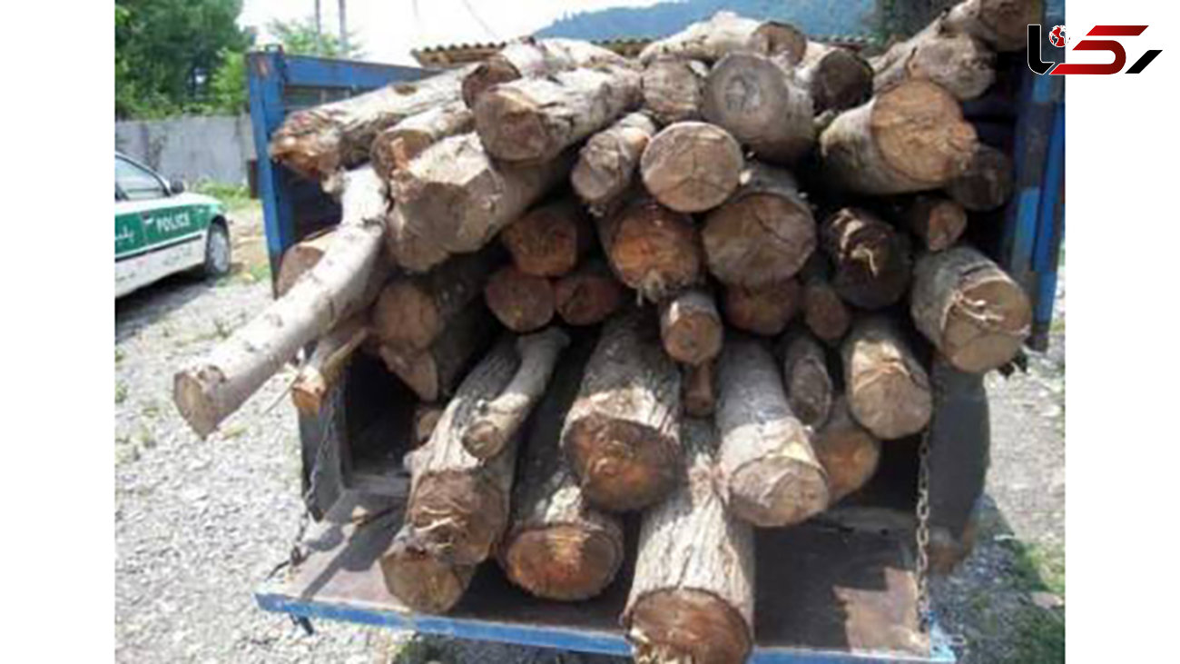 کشف 25 تن چوب قاچاق در شهرهای مختلف گیلان