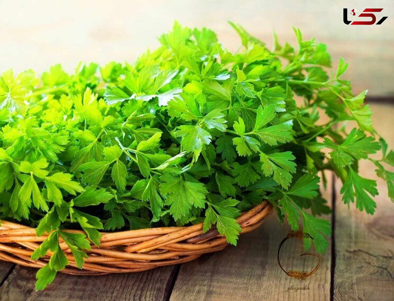 این سبزی معطر از شما در برابر سرطان دفاع می کند!
