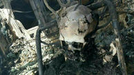 عکس جسد سوخته قاتل فرمانده ارشد پلیس سراوان (+14)