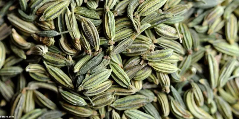 رازیانه