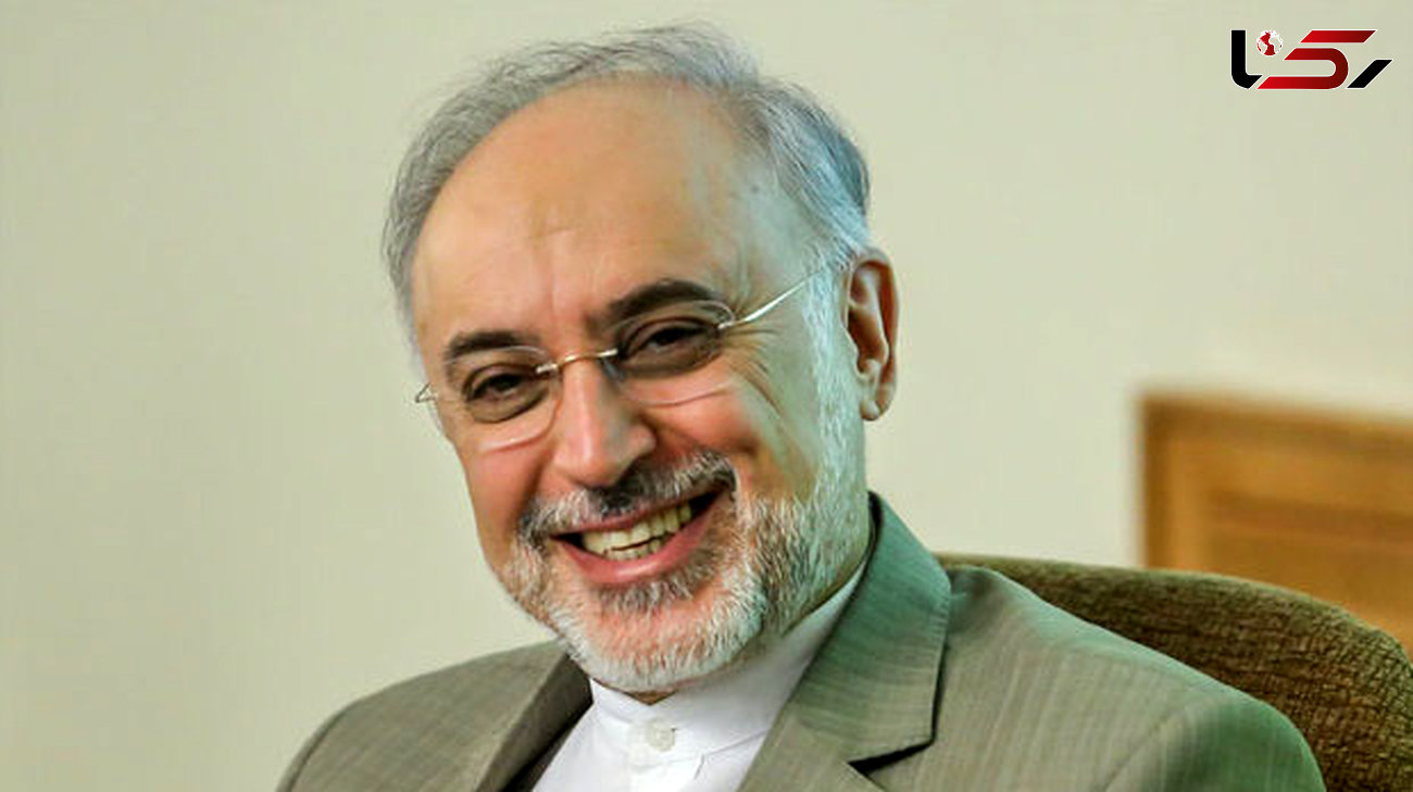 صالحی: اقدامات برای نظارت و امنیت عمومی نیروگاه بوشهر و تاسیسات هسته‌ای ایران انجام شده است