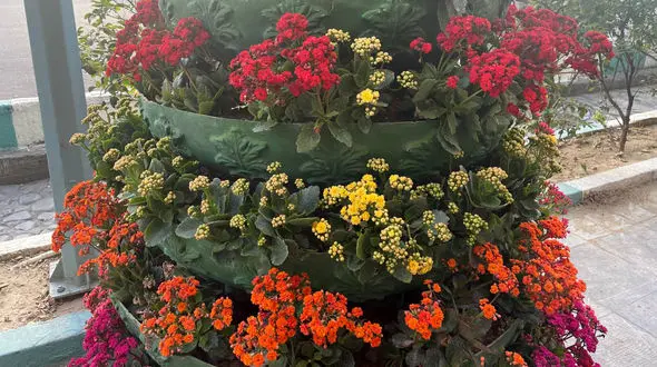 فال ابجد محشر 17 فروردین + فیلم