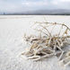 نیمی از آب مصرفی زباله های کشاورزی دریاچه ارومیه را احیا می کند