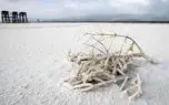 اگر سالانه ۳ میلیارد مترمکعب آب به دریاچه ارومیه می‌رسید، نمی‌مُرد /فقدان هماهنگی وزارتخانه‌ها؛ ستاد احیا را شکست داد
