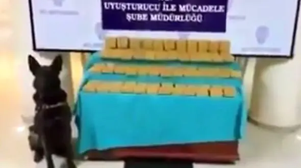 سگ پلیس شاهکار کرد! / کشف پول و طلا در مرز ترکیه  + فیلم 