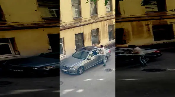 فیلم لحظه حمله کلاغ ها به مرد بنز سوار