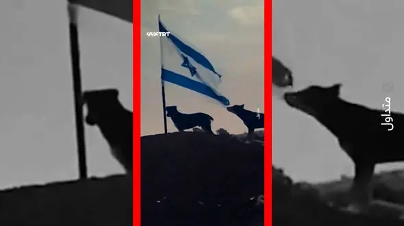 فیلم لحظه پاره شدن پرچم اسرائیل توسط سگ ولگرد
