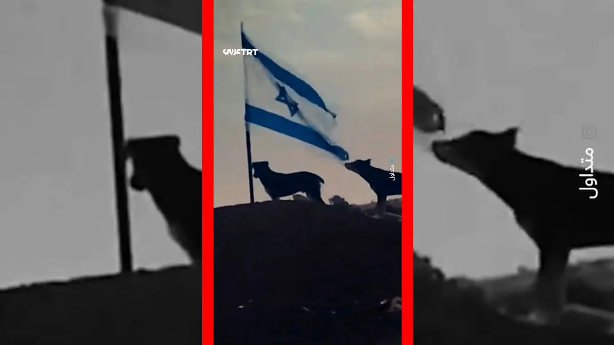 فیلم لحظه پاره شدن پرچم اسرائیل توسط سگ ولگرد