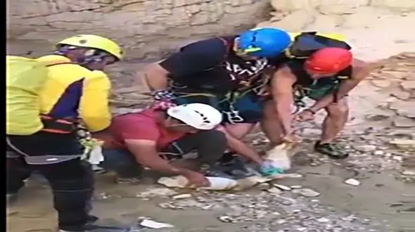 نجات روباه که سرش در دبه ماست گیر کرده بود + فیلم تاسف انگیز از خراسان