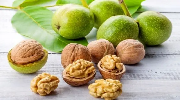 این خوشمزه به جنگ این سرطان مردانه می رود