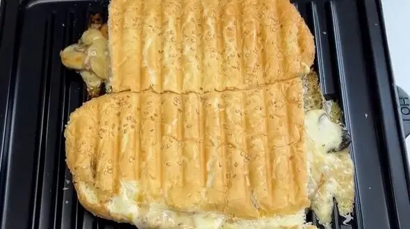 از پنینی تا جوجه کباب