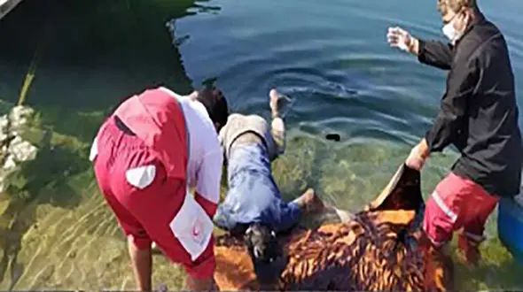 دردناکترین عکس از مرگ دختر 7 ساله در  خاش 