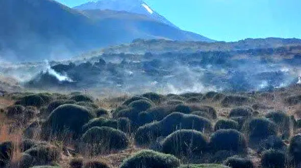 مهار آتش‌سوزی ۶۵ هکتاری پای قله دماوند