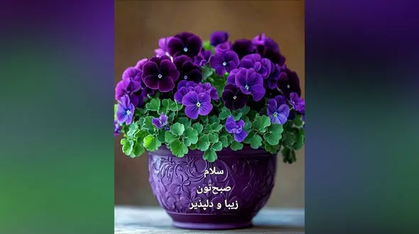 فال و طالع بینی امروز 11 مرداد 