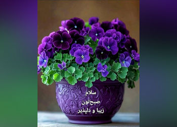 فال و طالع بینی امروز 11 مرداد 