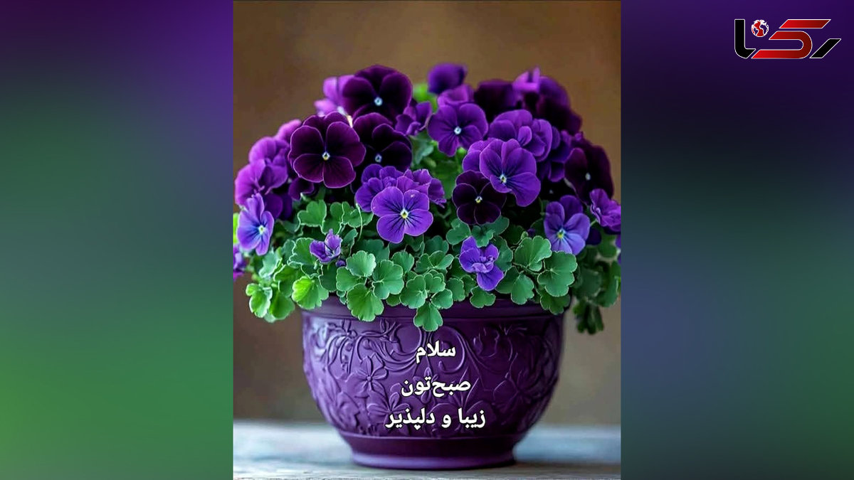 فال و طالع بینی امروز 11 مرداد