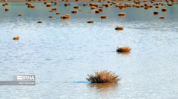 آبگیری تالاب آق گل همدان
