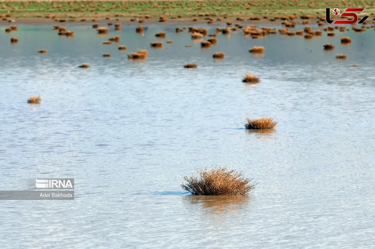 آبگیری تالاب آق گل همدان
