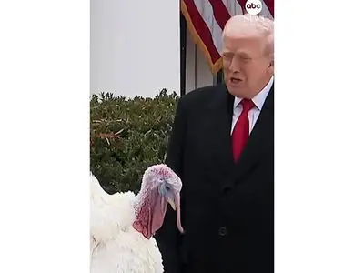 فیلم گفتگوی جالب ترامپ با بوقلمون! + فیلم