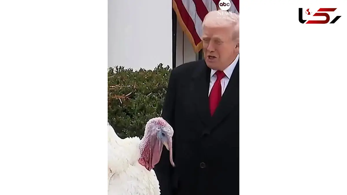 فیلم گفتگوی جالب ترامپ با بوقلمون! + فیلم