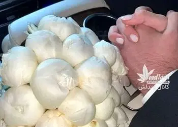 عکس/ خلاقیت خنده‌دار گلفروش محله برای تزیین دسته گل خواستگاری با پیاز و سوخاری مرغ