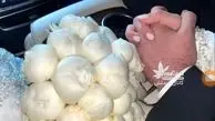 عکس/ خلاقیت خنده‌دار گلفروش محله برای تزیین دسته گل خواستگاری با پیاز و سوخاری مرغ