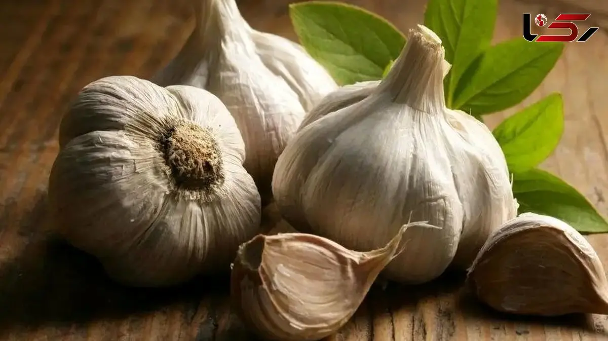 لاغری با سیر خام ناشتا؛ حقیقت چیست؟