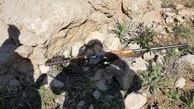 دستگیری شکارچیان غیر مجاز در پلدختر
