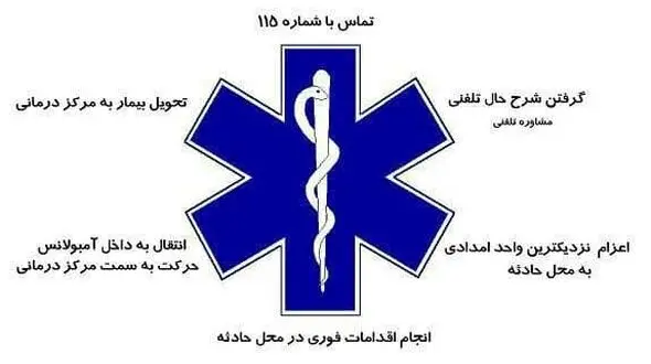 ستاره حیات چیست؟